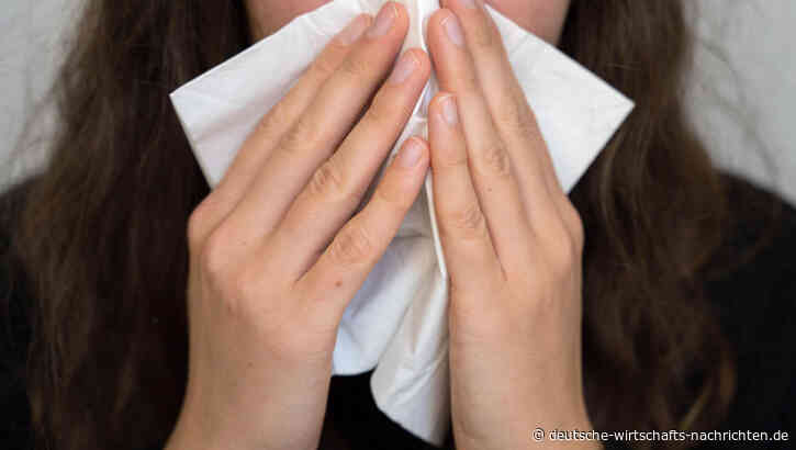 Corona-Maßnahmen führen zur Ausrottung eines Grippe-Stamms: Umstellung auf Dreifach-Impfstoff