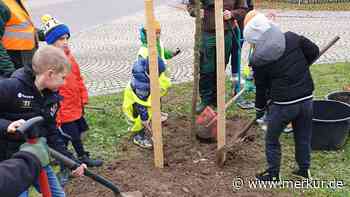 Pflanzaktion des Bund Naturschutz und des Kinderparlaments Türkheim