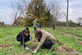 Dag van de Natuur: wie komt zondag mee bos planten aan Kluisbaan met Natuurpunt?