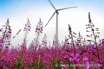 Windkraft im Kreis Höxter: Bürger sollen Unmut deutlich machen