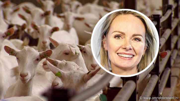 Q-koortspatiënten: 'Overheid: kom met excuses en oplossingen'