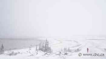 Polar bears, wolves and frigid temperatures don't deter runners in annual Churchill marathon