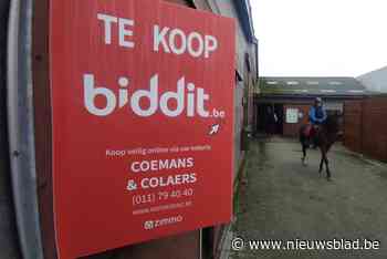 Eerste kijkdag voor manege Breugelhoeve lokt nauwelijks bezoekers: “Niet meteen slecht nieuws”