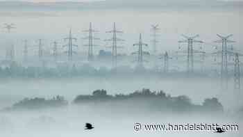 Pensionsfonds: Aktives Fondsmanagement: So macht der Europa-Chef des CPP neun Prozent Rendite im Jahr