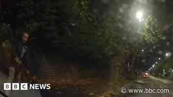 Police appeal over man 'assaulting own guide dog'