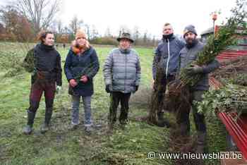 André Verstraeten heeft nu ook ‘zijn’ bos aan de rand van het Molsbroek: “Tijd om de fakkel door te geven”