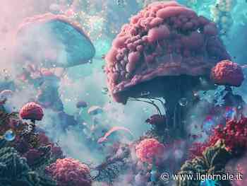 Tumori "freddi", ecco la nuova cura: l'immunoterapia funzionerà grazie a un'enzima