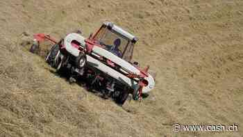 Was Schweizer Bäuerinnen und Bauern verdienen