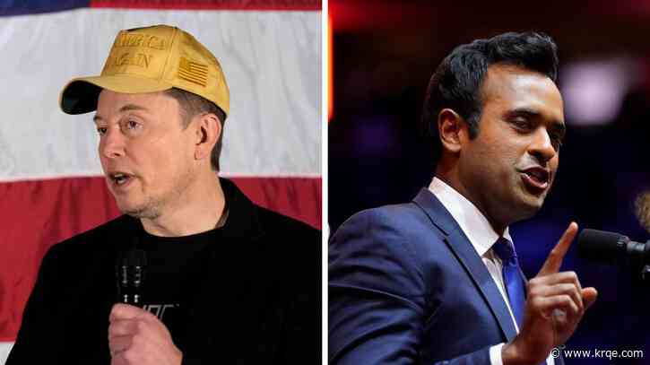 Musk, Ramaswamy ‘DOGE’ confidence in Supreme Court may be tested