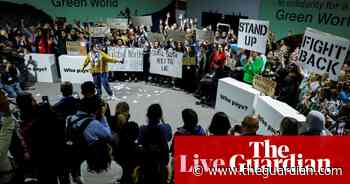 Cop29: carbon trading rules approved as talks overrun into the night