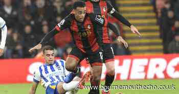 The Cherries beaten by Seagulls: As it happened