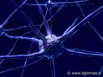 Con questo meccanismo si sviluppano le metastasi cerebrali: la scoperta a Torino