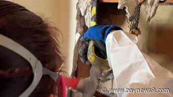 Volunteers assisting homeowners who suffered from flood damage