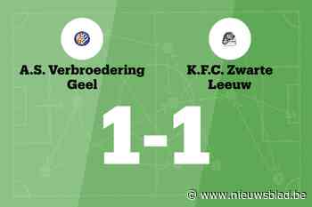 ASV Geel en Zwarte Leeuw eindigt op 1-1