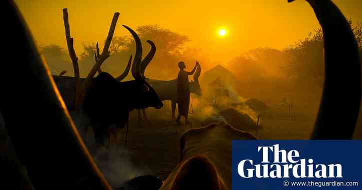 ‘The rising smoke and setting sun made a magical backdrop’: Jurica Galić’s best phone shot