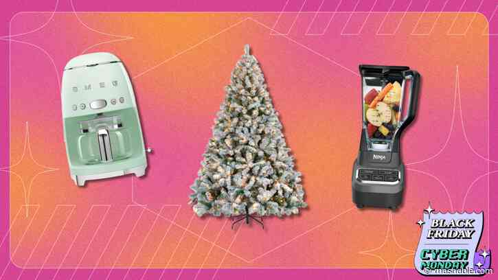 Wayfairs Black Friday sale is a Pinterest fever dream — shop furniture, decor, and more