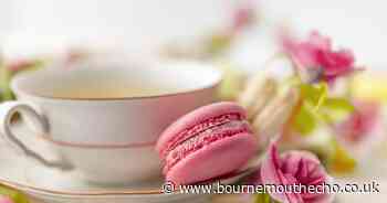 Tea room in need of 'major improvement', hygiene officials say