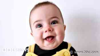 Baby died in 'sudden and unanticipated' dog attack