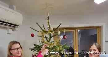 Christmas 'Tree of Memories' helps bring festive cheer to animals in need