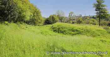 Dorset village walk includes site of 13th century castle