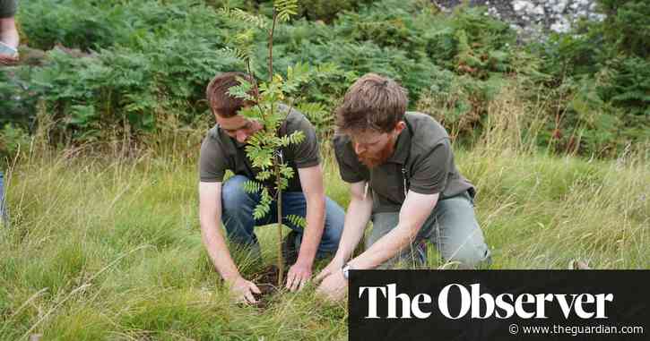 The climate crisis and all the evil in the world drives me to despair