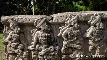 Archaeologists discover 4,000-year-old canals used to fish by predecessors of ancient Maya