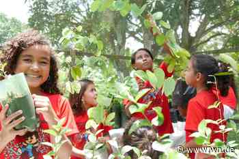 Mit Pater Beda Brasilien zum Blühen bringen