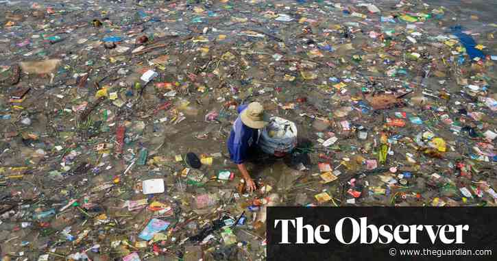World will be ‘unable to cope’ with volume of plastic waste in 10 years, warns expert