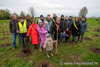 Geboortebos aangeplant in natuurgebied De Pilse