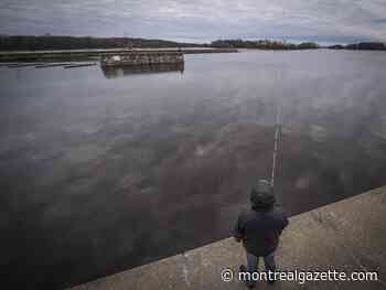 Montreal weather: Cloudy and chilly
