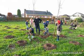 Honderden helpende handen geven gloednieuw Vageweenbos vorm: “Een groene corridor tussen Emelgem en Kachtem”