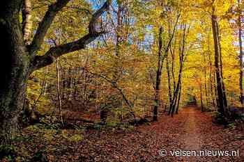 Warmste 24 november in Nederland sinds begin metingen