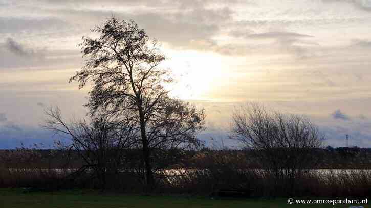 Een ongekend warme novemberzondag: 'Het regent records'