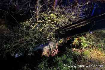Gewonde bij zwaar ongeval op Peerderbaan in Meeuwen