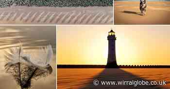 13 perfect pictures of winter sunshine and shadows around Wirral