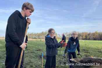 Natuurpunt plant hectare extra bos: “Bomen komen planten voor onze vormselvoorbereiding: dat is toch tof?”