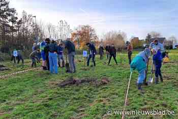 Gondebeekvallei 1.500 bomen en struiken rijker