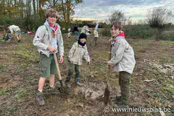 Scouts en provincie planten 1.475 bomen en struiken: “Verbinding tussen twee bestaande bossen”
