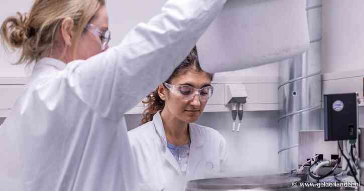 Opslag ingevroren eitjes ‘loopt de spuigaten uit’, terwijl meeste vrouwen niet terugkomen: UMC vraagt zich af waarom