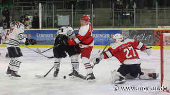 Black Bears Freising zerlegen die stärkste Defensive der Liga