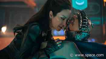 What is Section 31 in the 'Star Trek' universe?