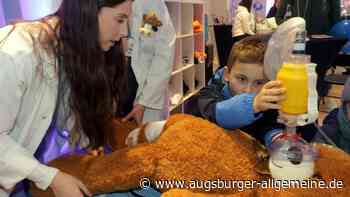 Im Teddybärkrankenhaus werden flauschige Patienten schnell wieder gesund