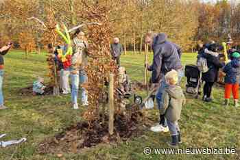 Geboortebos groeit met twaalf beuken en twaalf linden voor 125 Borsbeekse baby’s