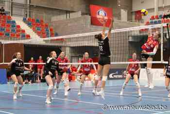 Volley Noorderkempen weet weer wat verliezen is: “We hebben wet van sterkste ondergaan”