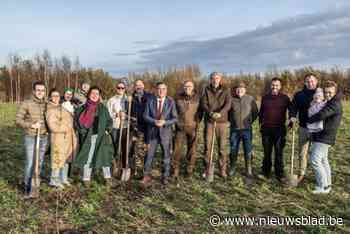 Bergmolenbos is ruim 4.000 bomen rijker
