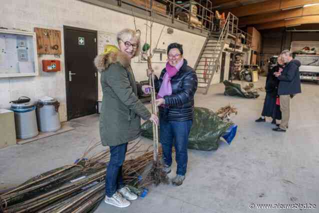 Onder andere nieuwe inwoners halen boompje af