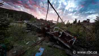 In the market for the bat-ridden ruins of a former Newfoundland amusement park? Check out the price