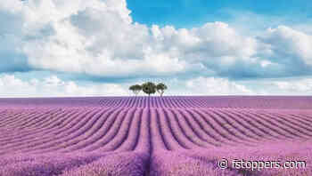 A Beginner's Guide to Core Photoshop Concepts