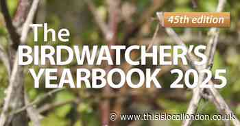 Wild Things: Hope for the future of the Birdwatcher's Yearbook