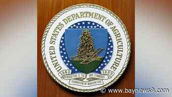 What to know about Brooke Rollins, Trump's pick for agriculture secretary